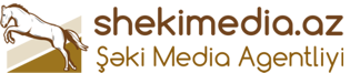 Şəki Media Agentliyi